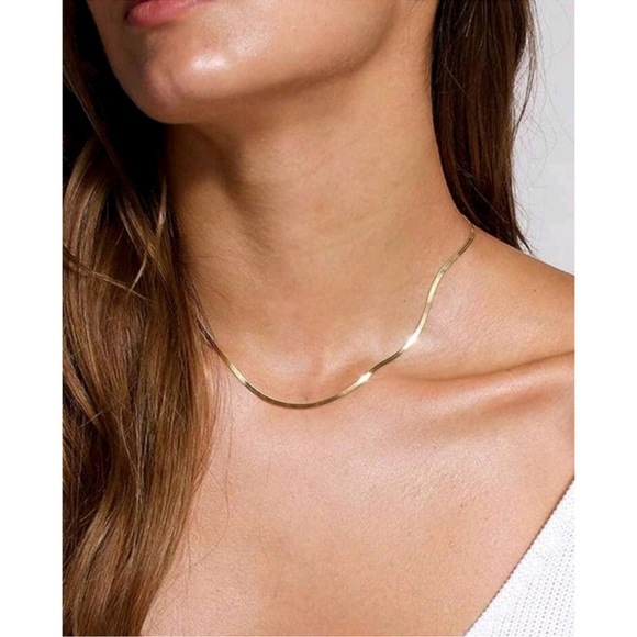 Anthropologie Jewelry - Anthropologie Dainty Minimalist Flat Chain Necklace